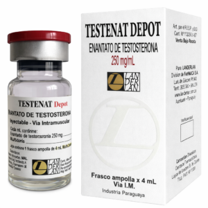 Testosterona enantato Landerlan 4ml 250mg/ml